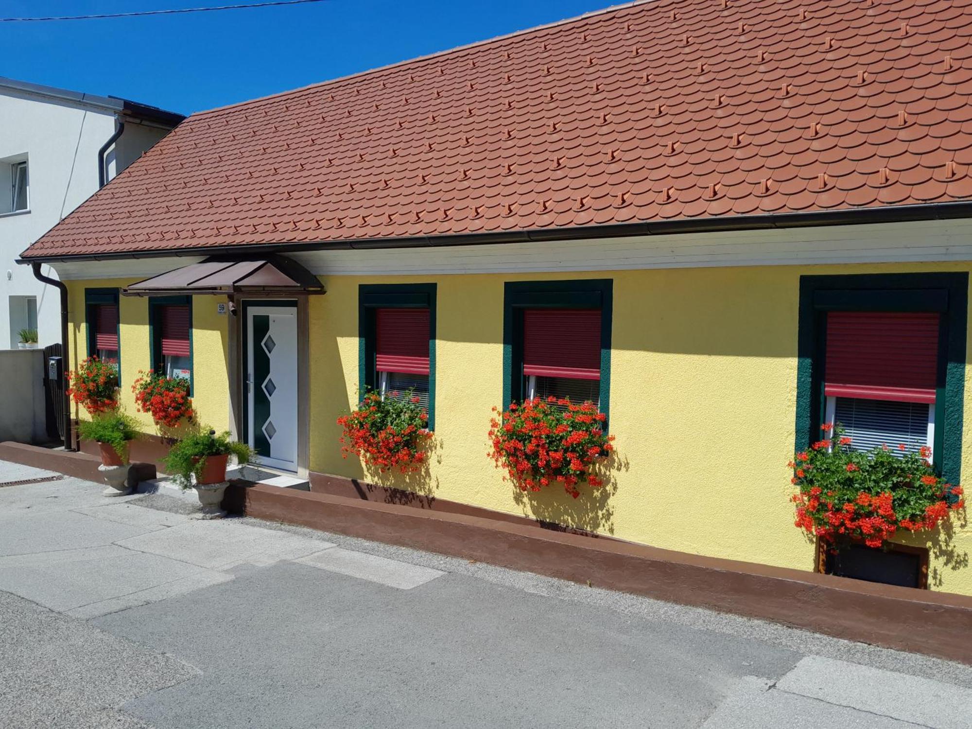 Hotel Pri Belokranjcu Novo Mesto Exterior photo